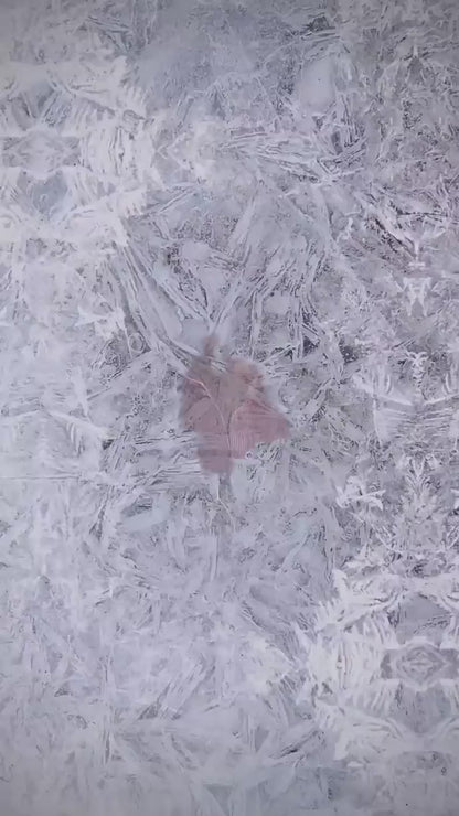 Electric 400 Watts Handy Room Heater